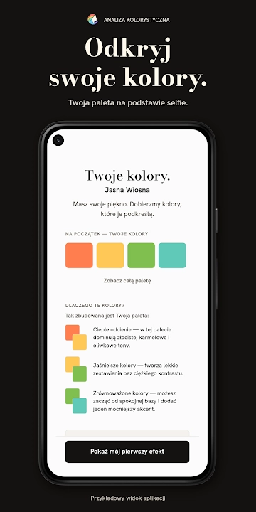 Analiza Kolorystyczna screenshot