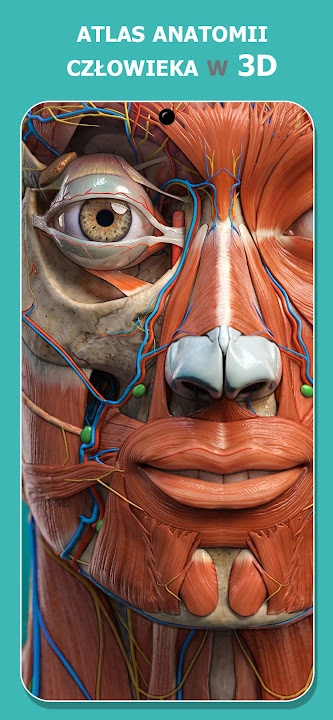 Anatomy Learning screenshot