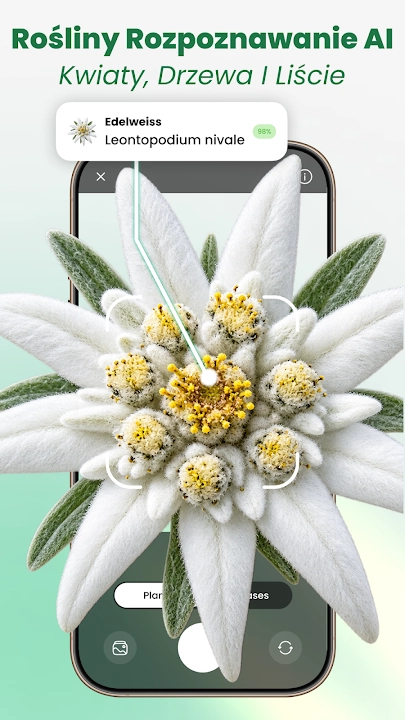Rośliny Rozpoznawanie screenshot