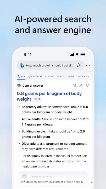 Microsoft Bing Search screenshot